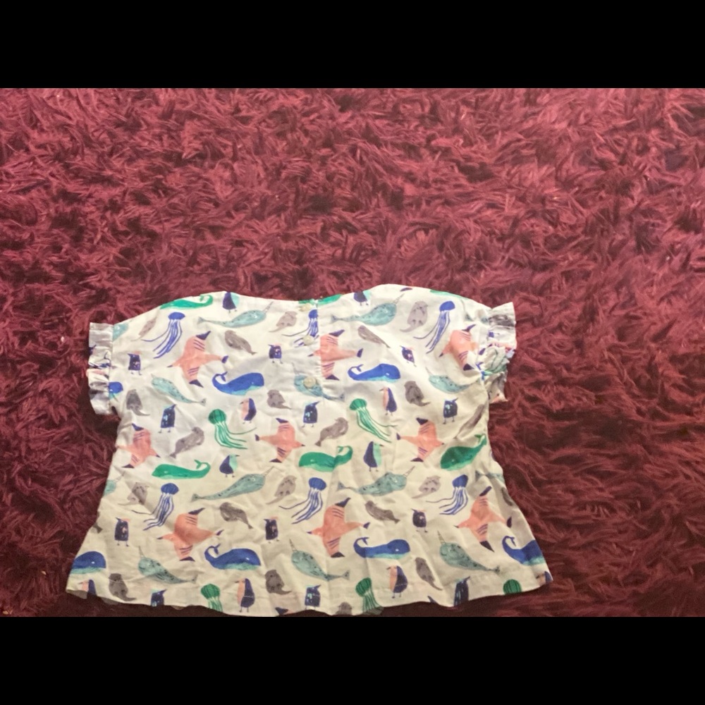Shirt all animals